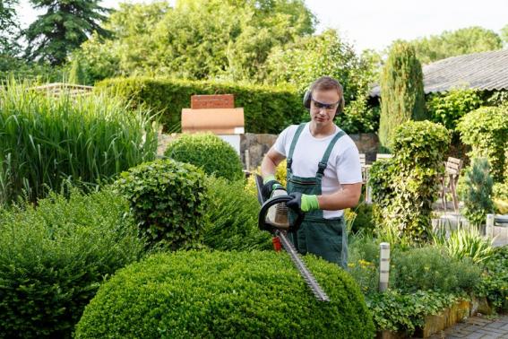 Entretien jardin